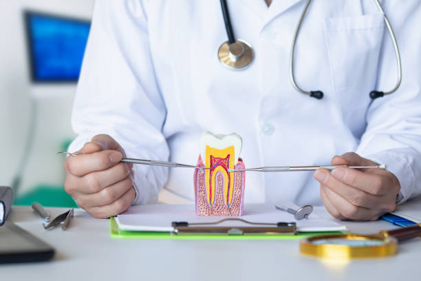 Best Emergency Wisdom Teeth Removal in North Richmond, CA